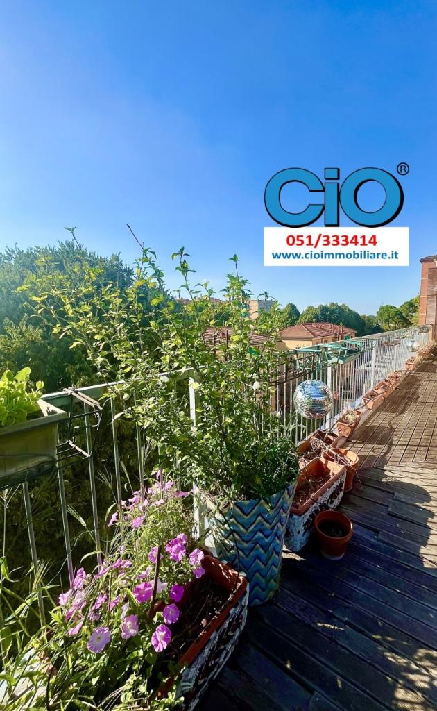 Vendita Eptavani, Bologna Vendita Eptavani, Bologna foto