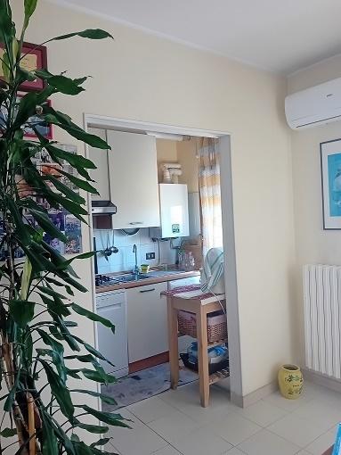 Vendita Esavani, Orsogna Vendita Esavani, Orsogna foto