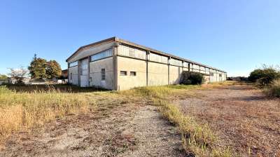 Vendita Capannone, Castello d'Argile Vendita Capannone, Castello d'Argile