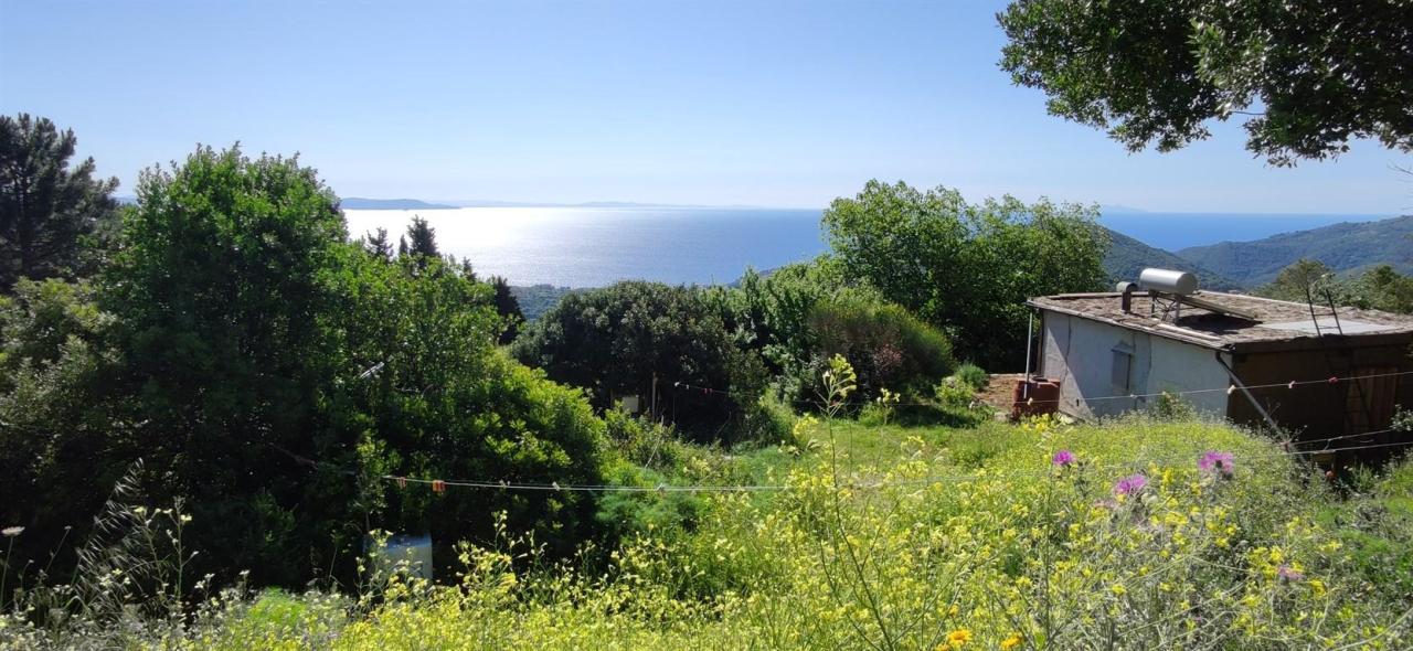 Vendita Terreno Agricolo, Rio Vendita Terreno Agricolo, Rio foto