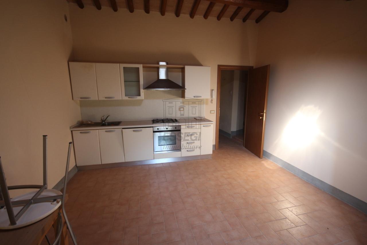 Affitto Trivani, Capannori Affitto Trivani, Capannori foto