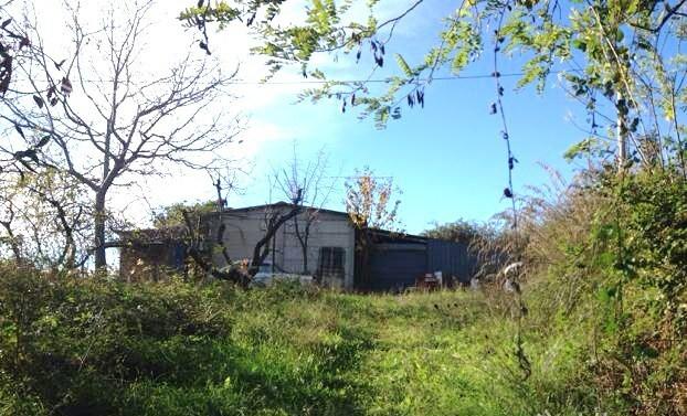 Vendita Quadrivani, San Benedetto del Tronto foto