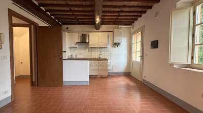 Affitto Bivani, Capannori Affitto Bivani, Capannori