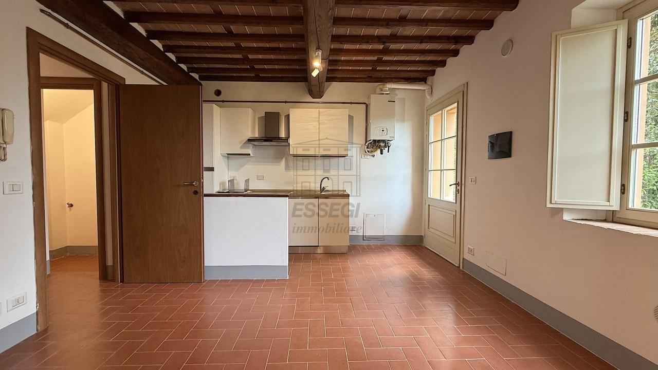 Affitto Bivani, Capannori Affitto Bivani, Capannori foto