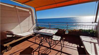 Vendita vendita, Cervo Vendita vendita, Cervo