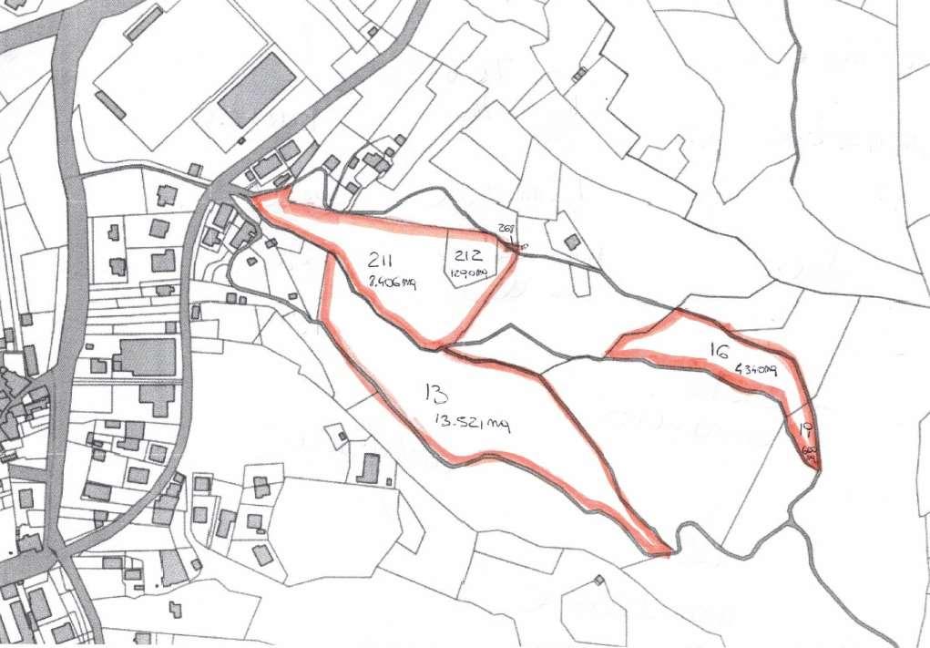 Vendita vendita, Mallare Vendita vendita, Mallare foto