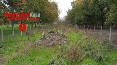 Vendita vendita, Cimitile Vendita vendita, Cimitile