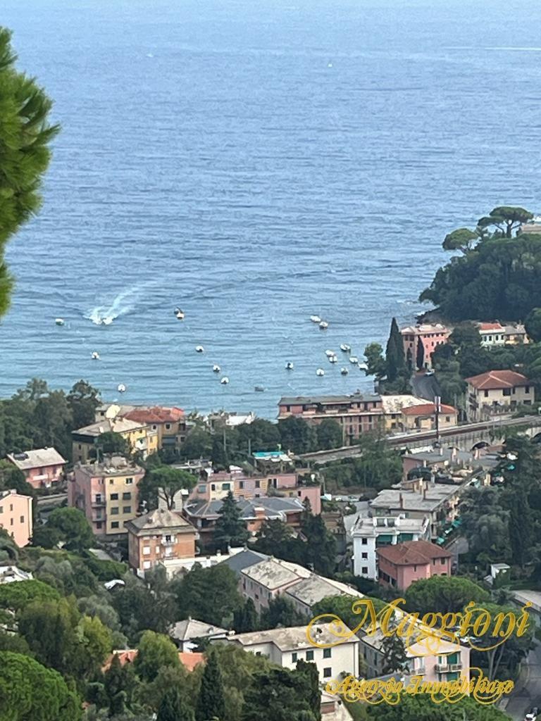 Vendita Trivani, Rapallo foto