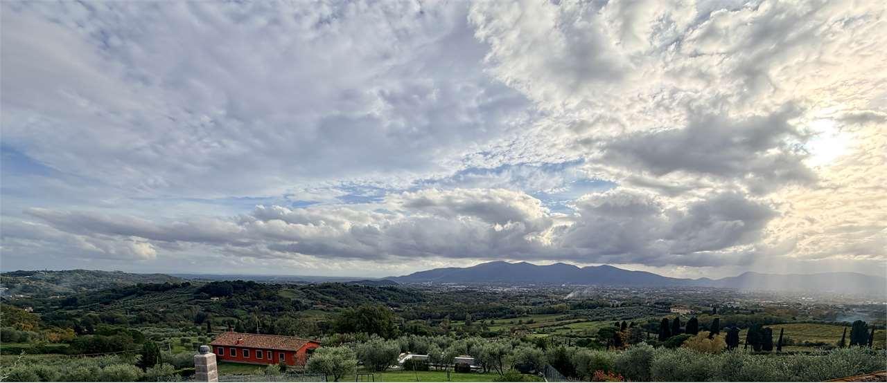 Vendita vendita, Capannori foto