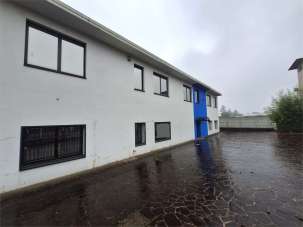 Vendita vendita, Brugherio