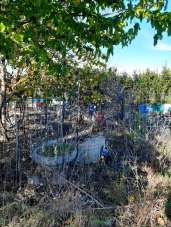 Venta Terreno Agricolo, Livorno Venta Terreno Agricolo, Livorno