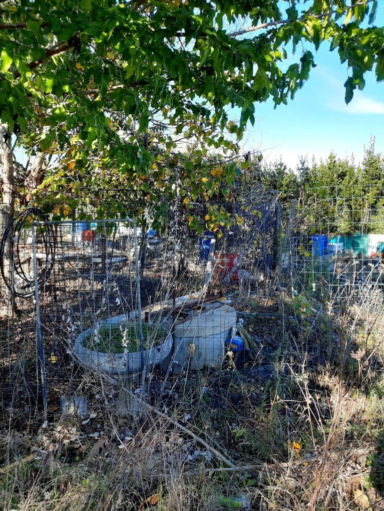 Vendita Terreno Agricolo, Livorno foto