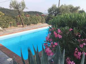 Vendita Multivani, Fosdinovo Vendita Multivani, Fosdinovo