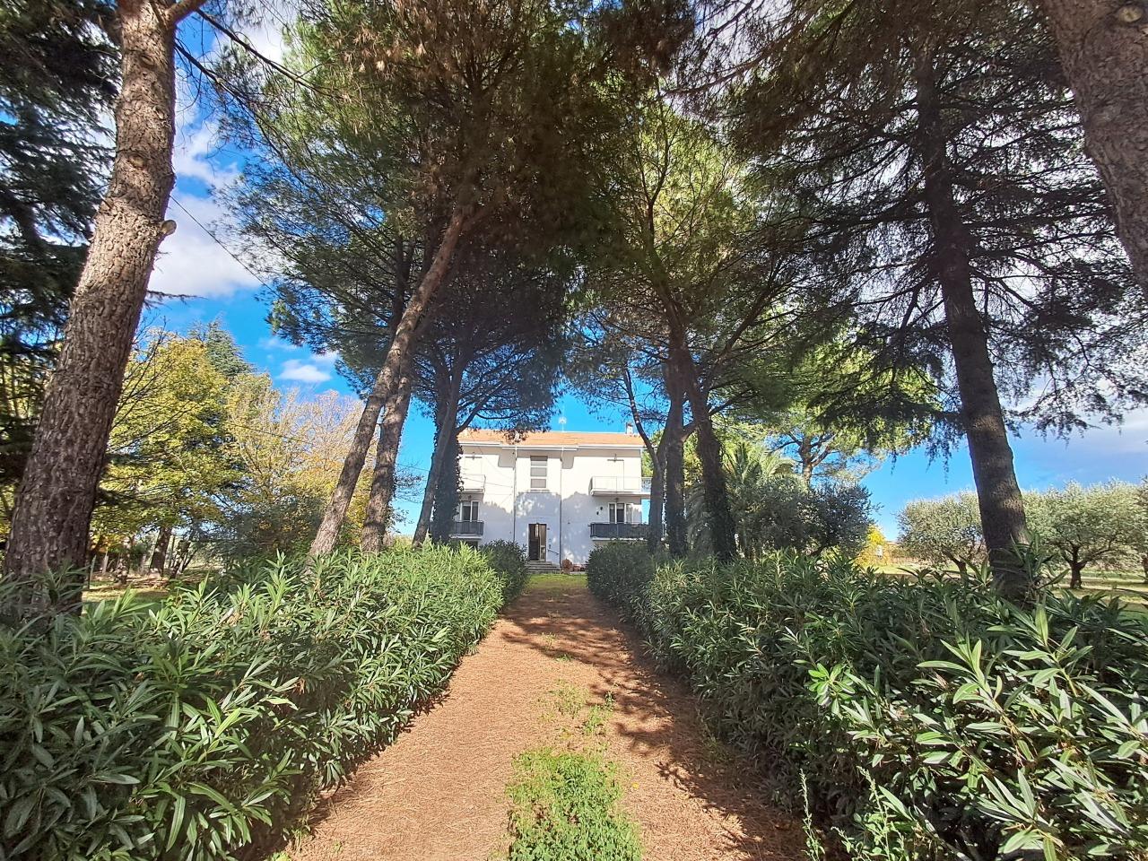 Venta Esavani, Verucchio foto