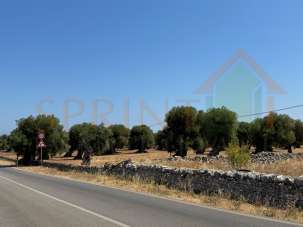 Venta Tierra, Fasano