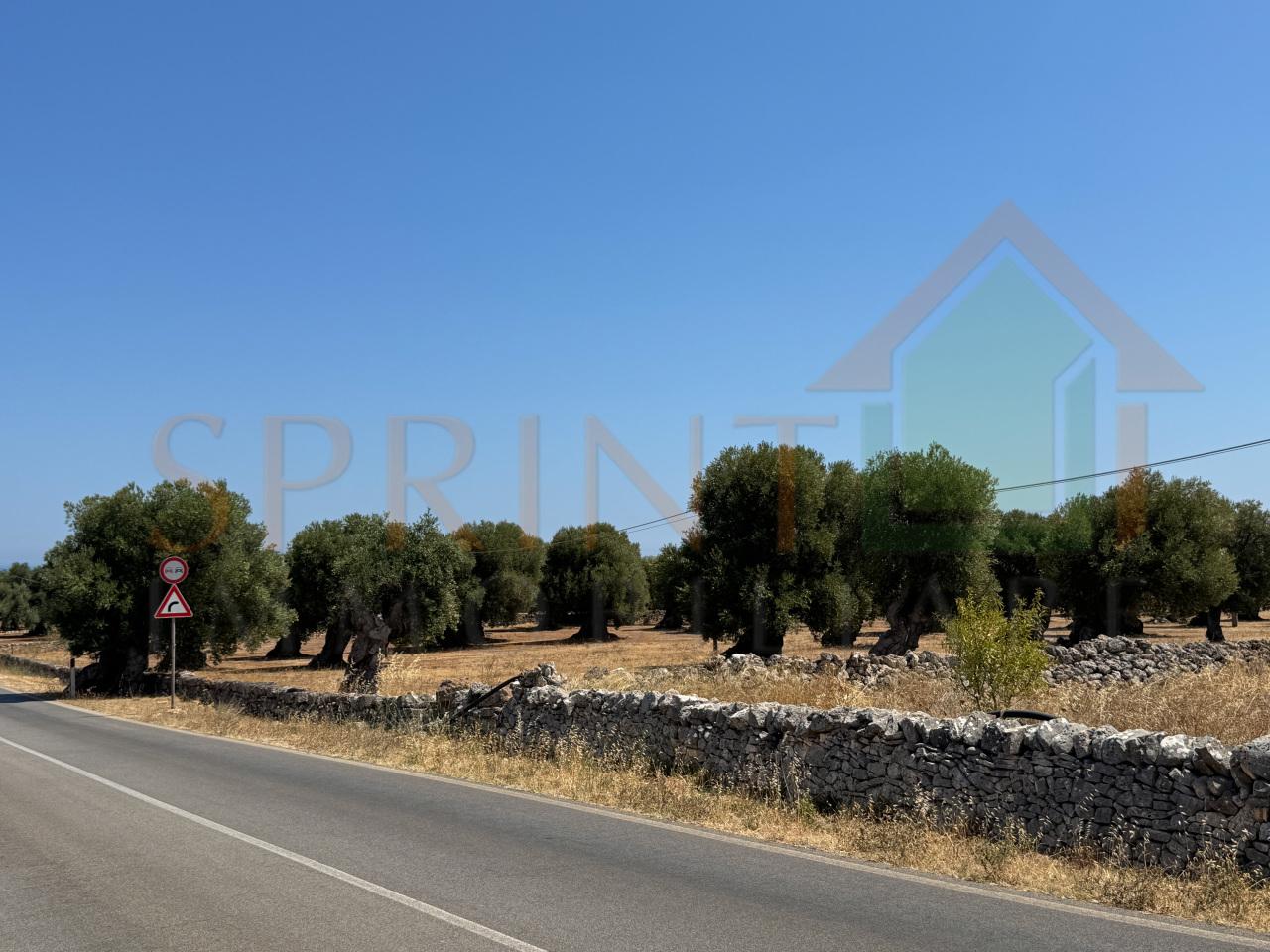 Venta Tierra, Fasano foto