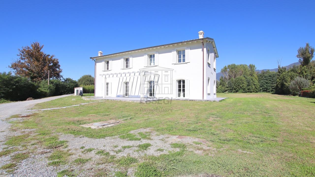 Verkauf Esavani, Lucca foto