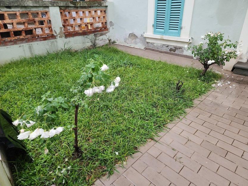 immagine annuncio 0 di 1