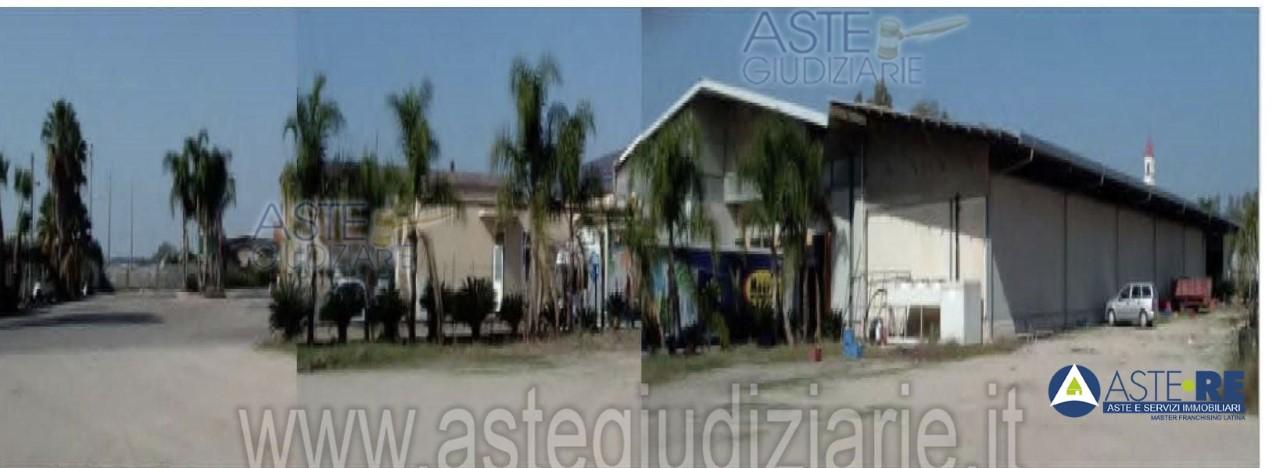 Vendita Loft, mansarde e attici, Sabaudia foto