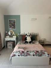 Mieten Trivani, Novara Mieten Trivani, Novara