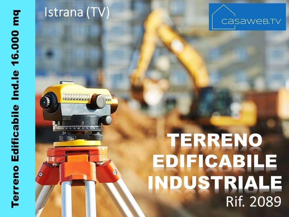 Vendita vendita, Istrana foto