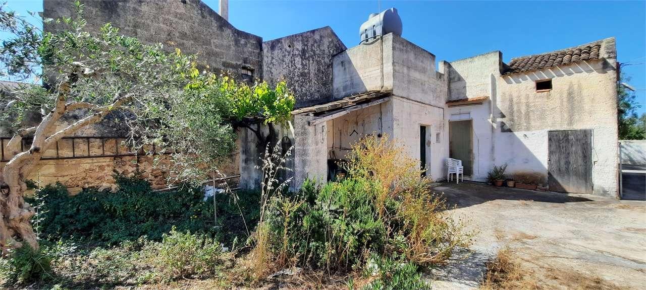 Venta vendita, Marsala foto