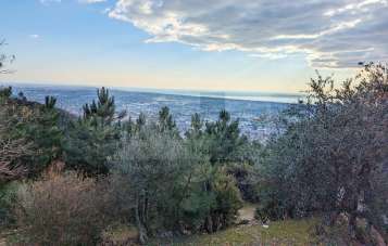 Vendita Case, Pietrasanta Vendita Case, Pietrasanta