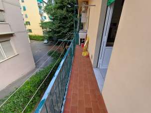 Affitto false, Firenze Affitto false, Firenze