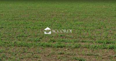 Vendita Case, Conegliano