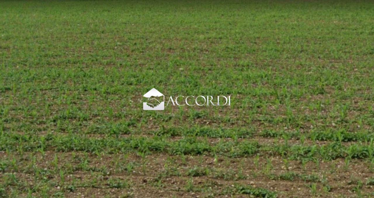 Vendita Case, Conegliano foto