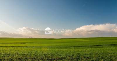 Vendita Case, Montebelluna