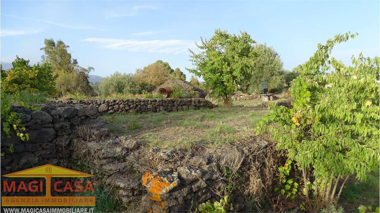 Vendita vendita, Mascalucia foto