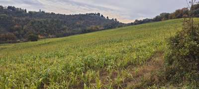Vendita Terreno, Trevi