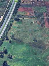 Vendita Terreni, Castelvetrano