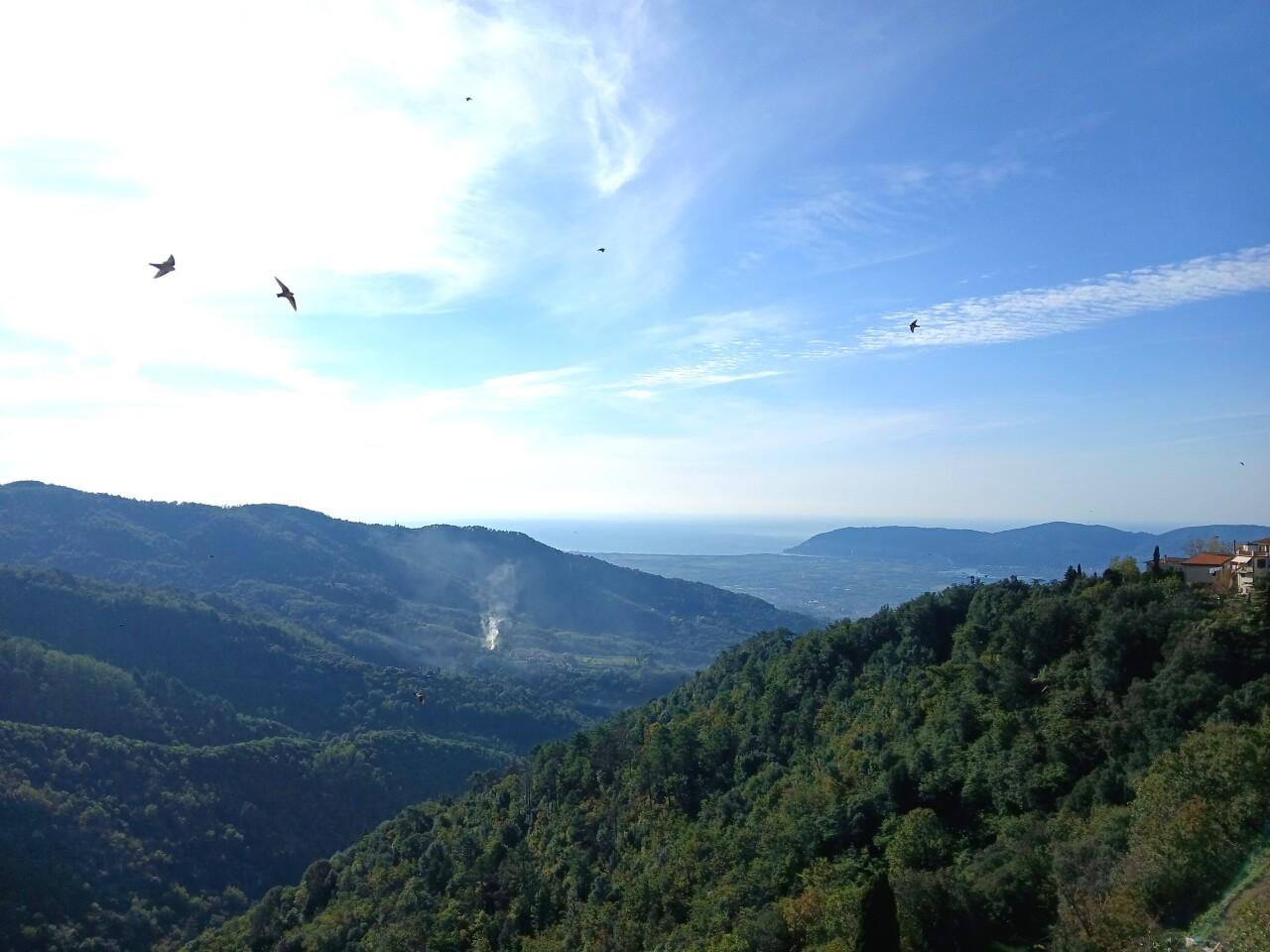 Vendita Quadrivani, Fosdinovo foto