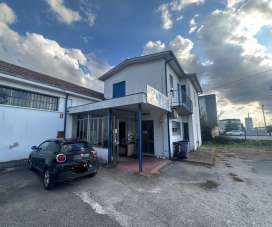 Vendita Industriale, Rovigo