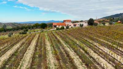 Verkauf Multivani, Montecchio Verkauf Multivani, Montecchio