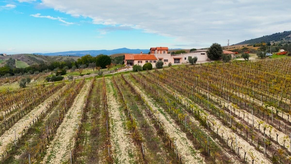 Verkauf Multivani, Montecchio foto