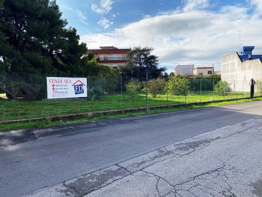 Vendita Terreni, Sammichele di Bari foto