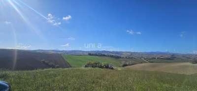 Vendita Pentavani, Montecarotto