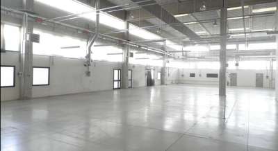 Vendita Case, Cecina