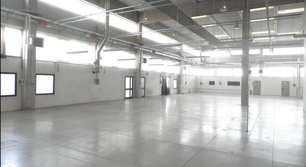 Vendita Case, Cecina foto