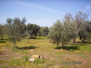 Verkauf Terreno Agricolo, Pesaro