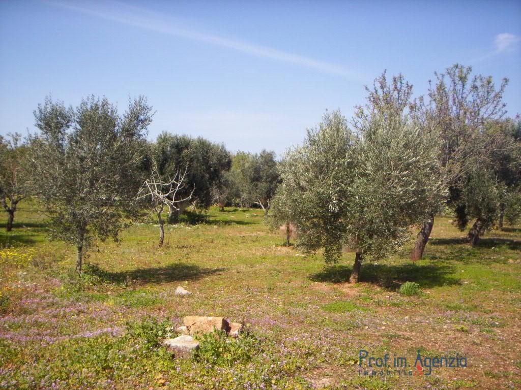 Vendita Terreno Agricolo, Pesaro foto