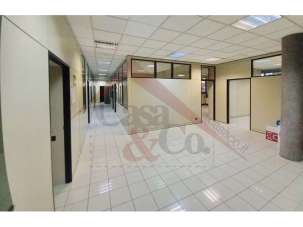 Affitto affitto, Modena Affitto affitto, Modena