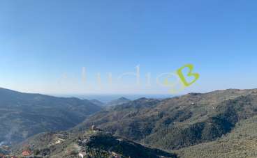 Verkauf vendita, Perinaldo