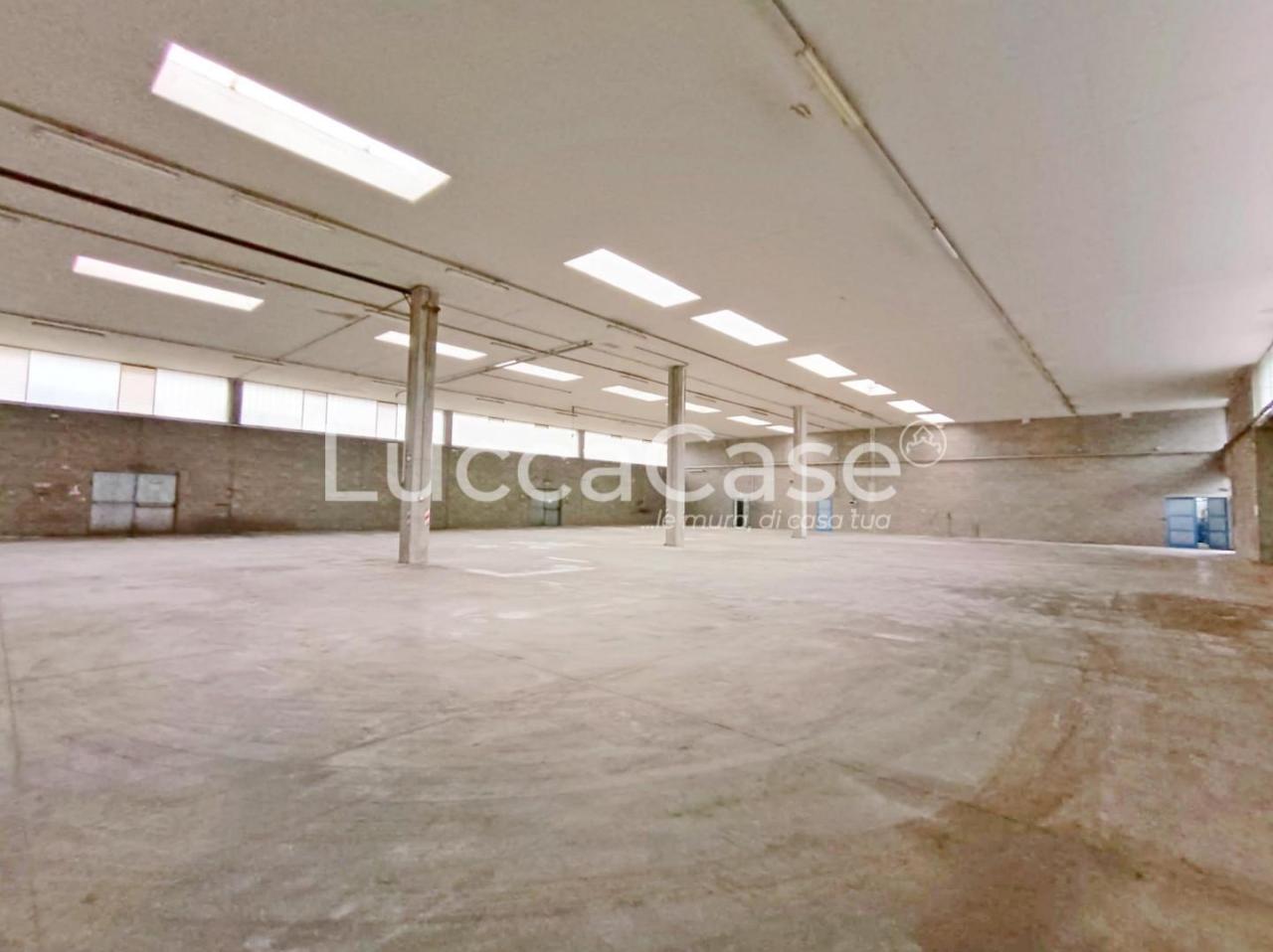 Mieten Capannone, Coreglia Antelminelli foto