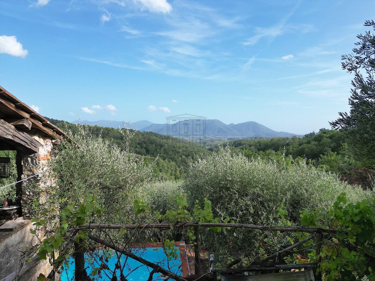 Vendita Multivani, Lucca foto