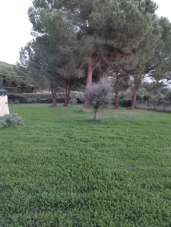 Vendita Altri immobili, Follonica Vendita Altri immobili, Follonica