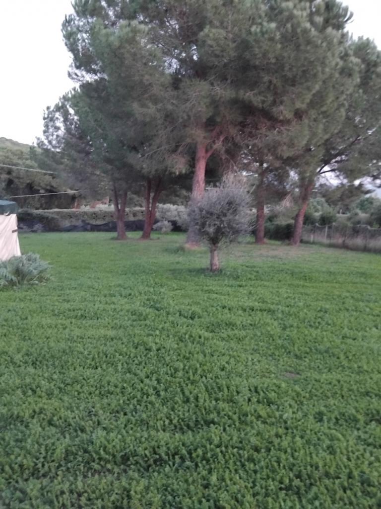 Vendita Altri immobili, Follonica foto